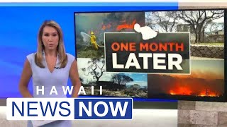 Green says improved response in Lahaina could have saved lives as key questions remain unanswered