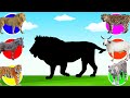 CUTE ANIMALS Lion, Zebra, Cow, Tiger, Leopard 사자, 얼룩말, 소, 호랑이, 표범 #25