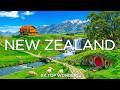 Wonders of New Zealand | Discover Nature, Adventure & Untamed Landscapes - Travel Video 8K
