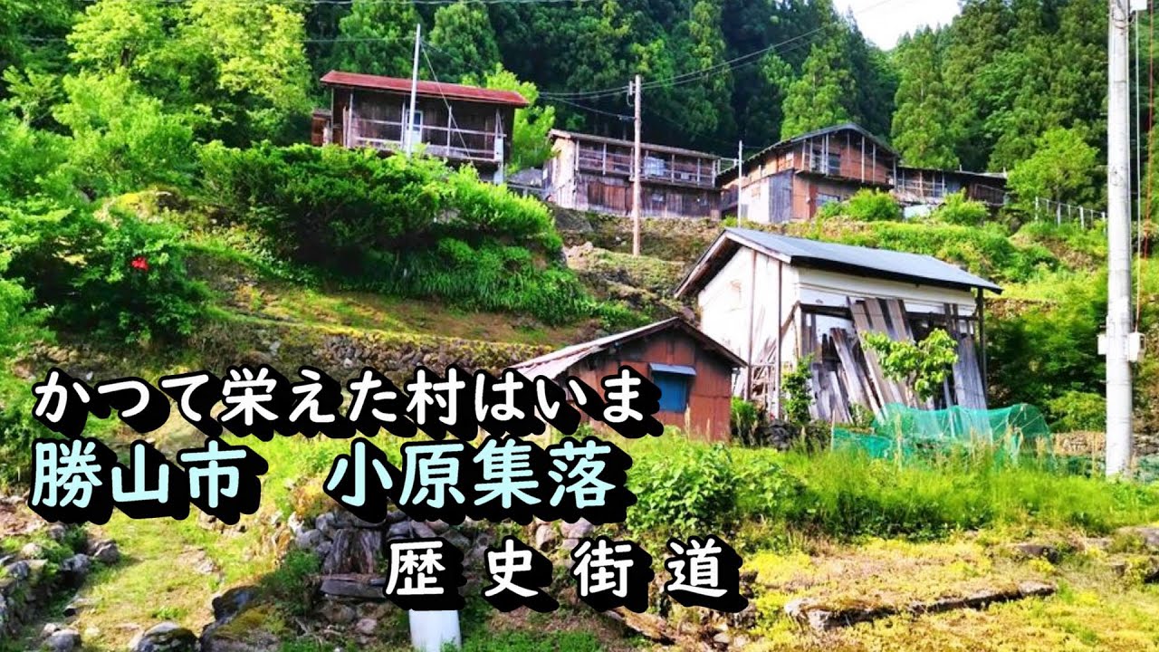 【廃村と限界ムラ】山奥のかつて栄えた村　勝山市小原
