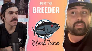 Realdeal Breeder chat with Black Tuna Seed Co's (CV420)