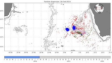 Particle advection within three eddies in the South Atlantic Ocean