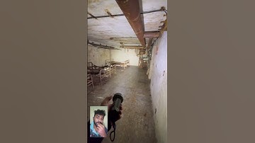 #egzonibrahimi #smartphone #ikhlas #fish #سورة_الإخلاص