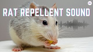 Rat Repellent Sound by Nature Voice Channel 75 views 5 days ago 15 minutes