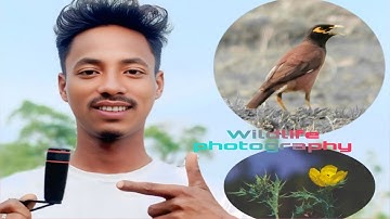 Adcom 8x telephoto lens review// nature documentaries and wildlife photography #trending#viralvideo