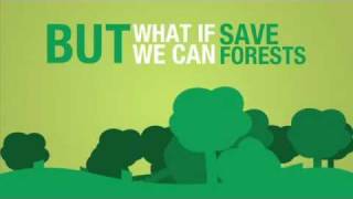 How to Save Trees and Forests?