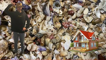 FILLING MY HOUSE WITH 1 MILLION SEASHELLS! How to find seashells in your home!