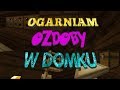 Przygody z Minecraft 1 13 1 #8 Robimy ozdoby w domku