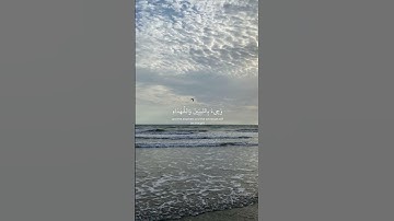 تلاوة جميلة وهادئة بصوت #القارئ #شريف_مصطفى #سورة_الزمر 🤍.