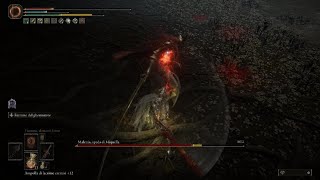 Build Fede Vs Malenia