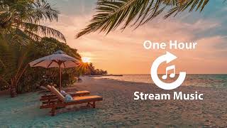 Summer Vibes | Live Music | One Hour Stream Music