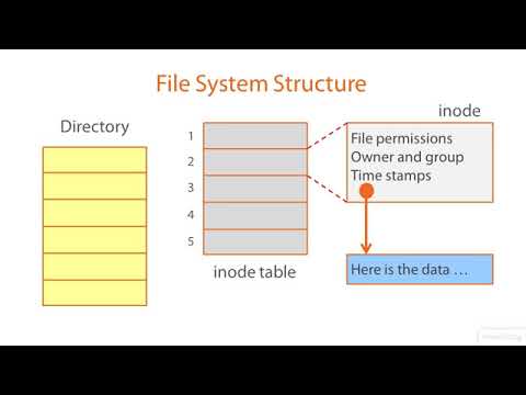 03 01 File System Structure - YouTube