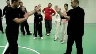 Pak Sao Bill Sao Sifu Koviljac In Sarajevo