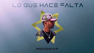 Miniatura de vídeo de "Indiomar - Lo Que Hace Falta Ft. Daniela Araujo  (Audio Oficial) VII"