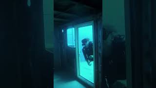 These Divers Were NOT Expecting To Find This 😱