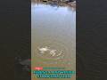 Catching Hard Fighting Redfish After Winter Storms In Texas