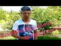jdid rai 2020/Cheb khaled alaoui Officel (jdid rai 2019/2020) - وين راه القلب لينساك Rai 2020