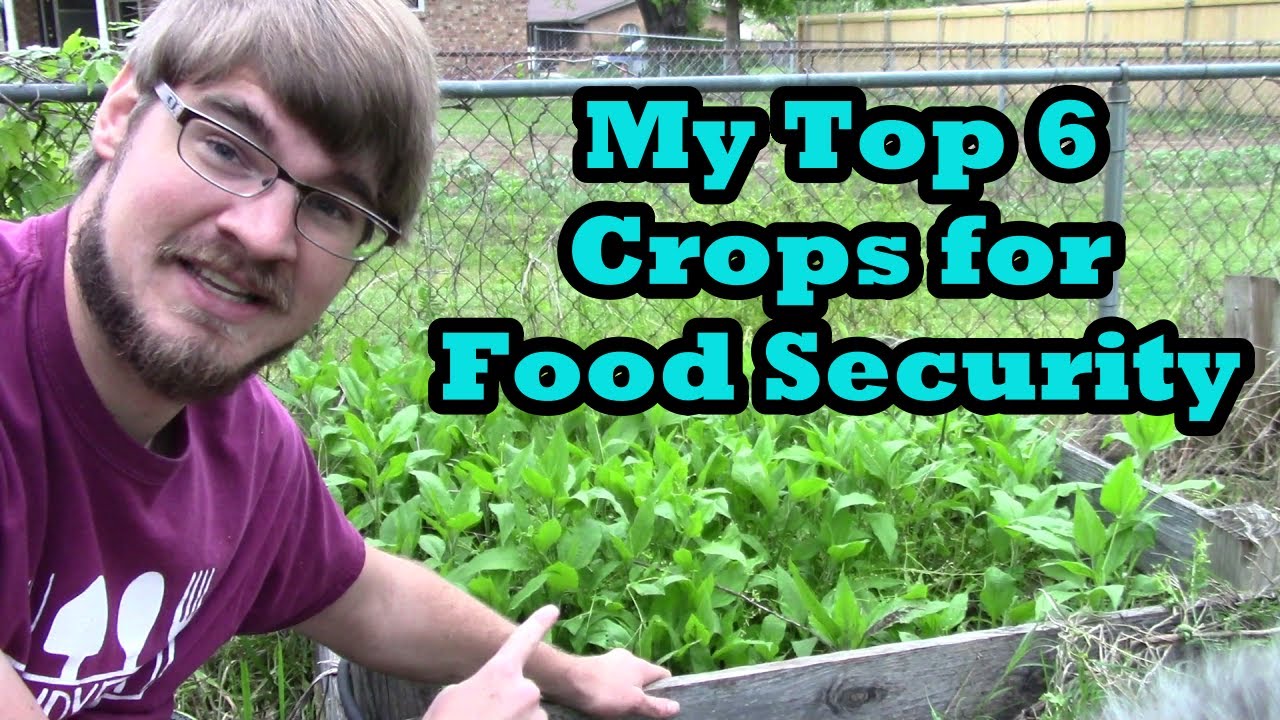 My Top 6 Crops for Food Security - YouTube