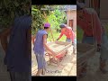 Mind-Blowing Woodworking Tricks 😱 #Woodworking #WoodworkTricks