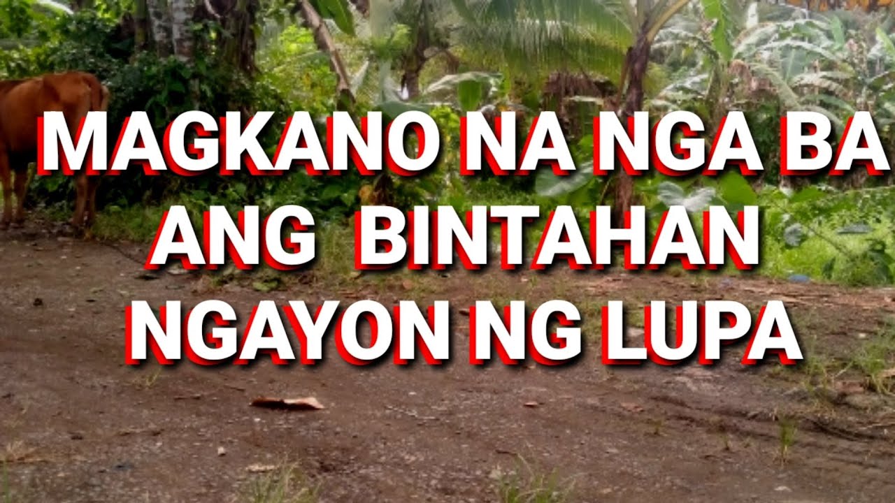 MAGKANO ang  BINTAHAN ngayon NG LUPA