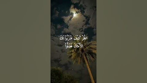 وَإِذَا ذَكَرْتَ رَبَّكَ فِي الْقُرْآنِ وَحْدَهُ#الشيخ يوسف العيدروس #سورة الإسراء