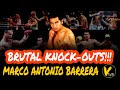 10 Marco Antonio Barrera Greatest Knockouts