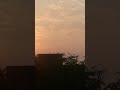 EVENING IN Miami #ytshorts #shorts #miami #millionaire # billionaire vibes #likeandsubscribe