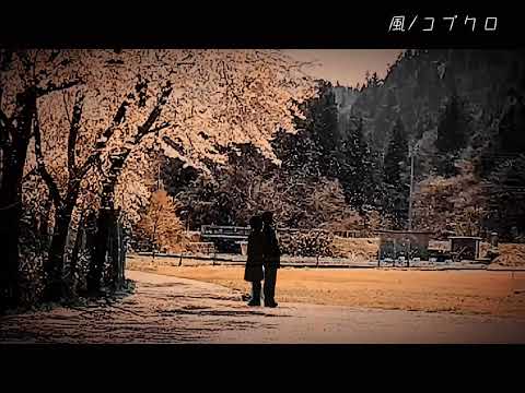 【歌ってみた】風/コブクロ（ －３キー）