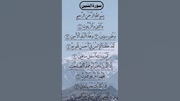 SURAH AL TEEN سورة التين Beautiful Voice Quran Tilawat #qurantilawat #quran