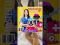 ¿Qué pasa si un día tú perro se enferma y no sabes que hacer ?