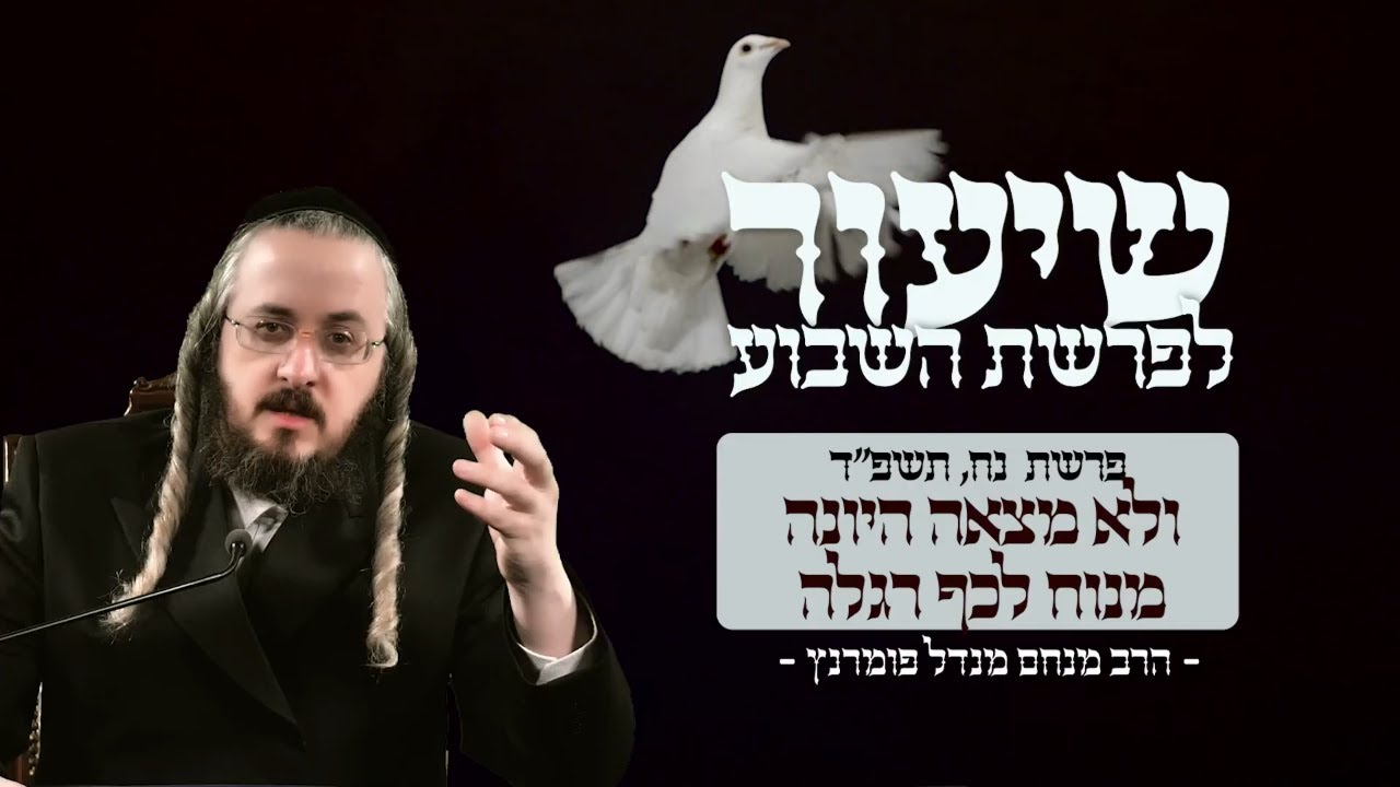 הרב מנחם מנדל פומרנץ | שיעור פרשת נח תשפ"ד • ולא מצאה היונה מנוח לכף רגלה •