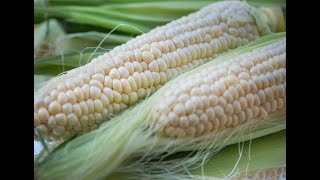 Episode 160 - A Kernel of Change
