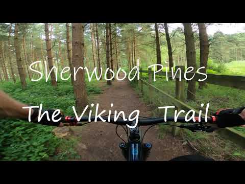 Sherwood Pines - A tour of the whole Viking Trail (Blue Route) 4K