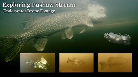 Underwater Drone Footage Exploring Pushaw Stream