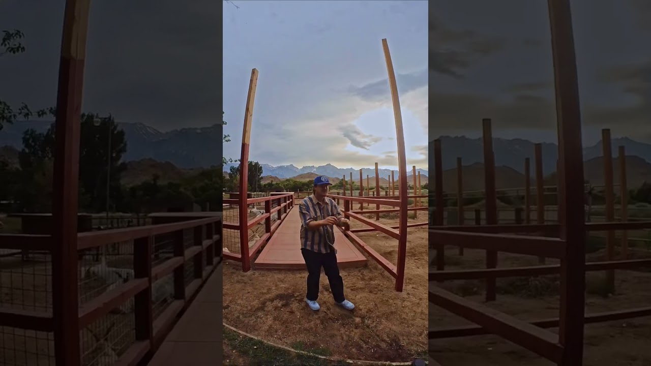 'Hot Sauce' Vertical Music Video