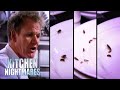 Cockroaches Are The Cleanest Thing Here | S2 E10 | Full Episode | Kitchen Nightmares | Gordon Ramsay