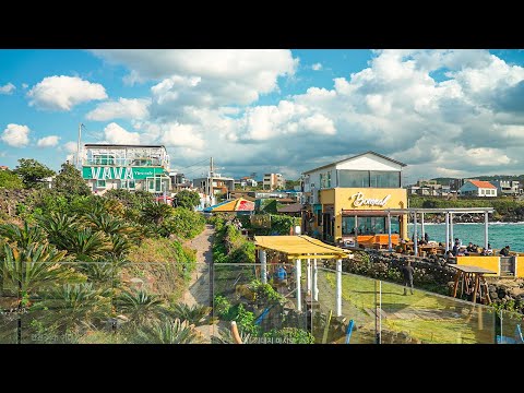 Jeju Island Best Fall Vacations for Stunning Scenery Volcanic Cone & Coastal Trail Travel Korea 4K