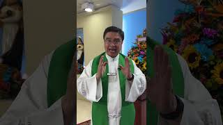 Mini Homilía: Domingo 14 Junio 2026 #EvangeliodeHoy 📖 #TeleVID #Shorts