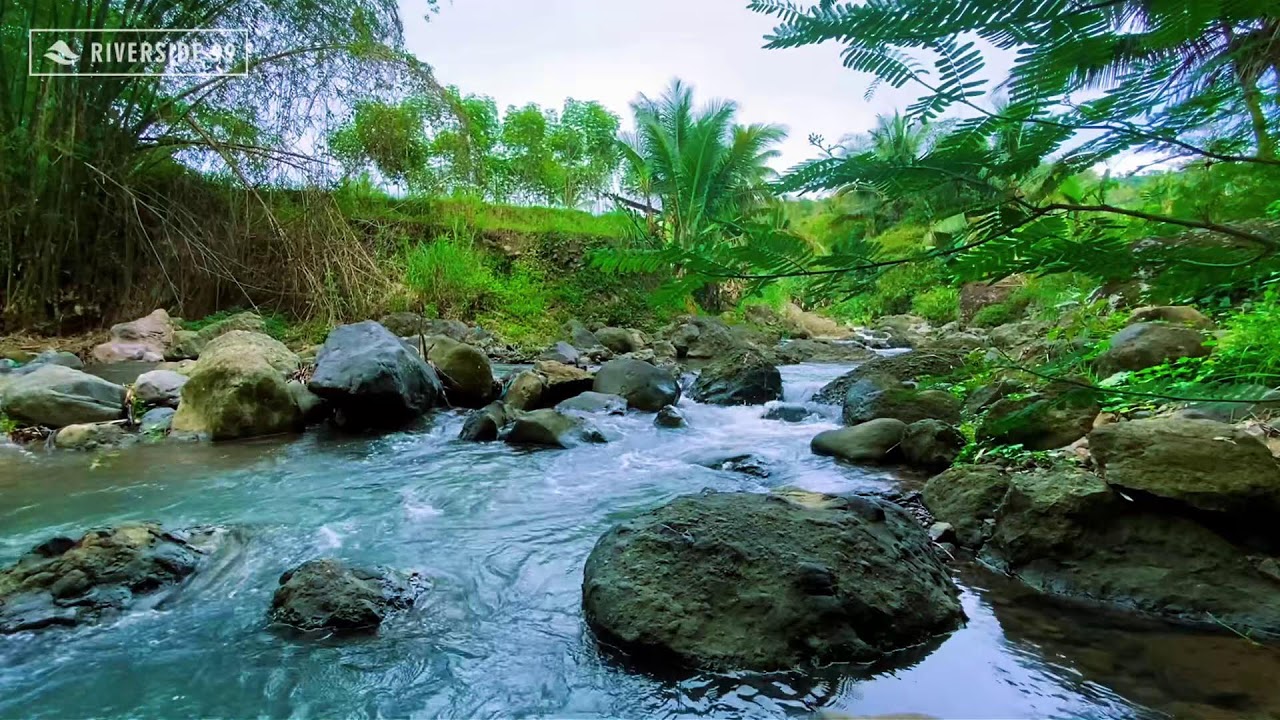 River Sounds for Sleeping 🌙 Healing Stream Flow for Anxiety and Better Sleep
