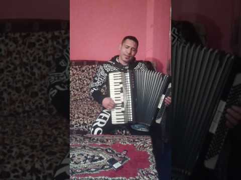 Toni dela caracal 2017