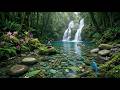 🍀 Beautiful Soothing Music ✨ Deep Relaxation, Healing & Inner Peace