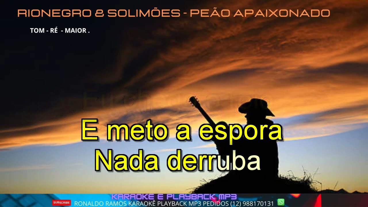 Peão Apaixonado - song and lyrics by Rionegro & Solimões