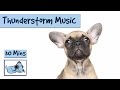 Music to Help Calm Dogs During Thunderstorms. Music for Dogs Scared of Storms