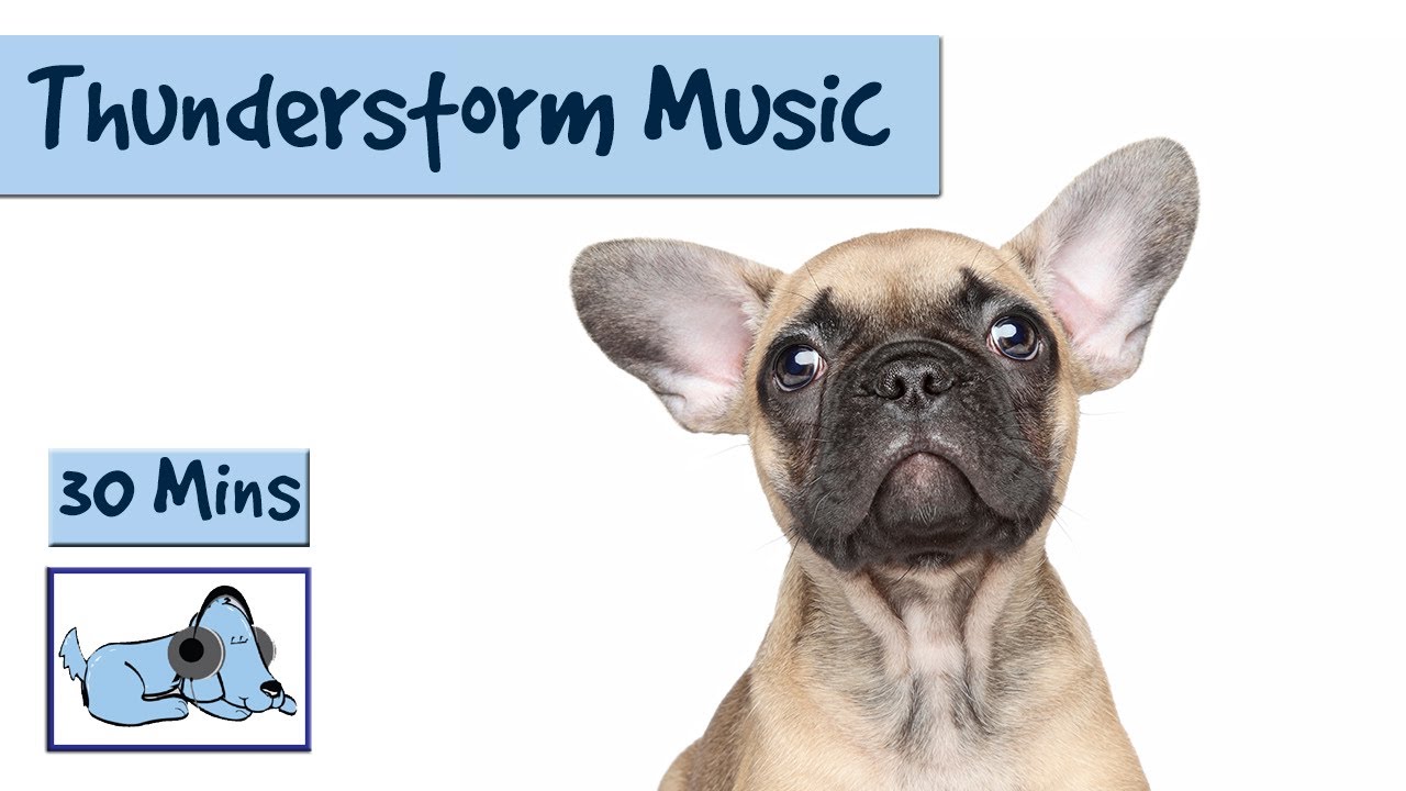 dog thunderstorm music