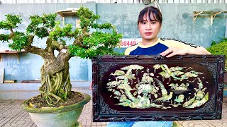 Giảm Giảm 0111 Thúy An Cần Bán - Lô Cây Kiểng Thập Cẩm, Tranh Gỗ Cẩn Ốc, Đôn Gốm Tồn Kho