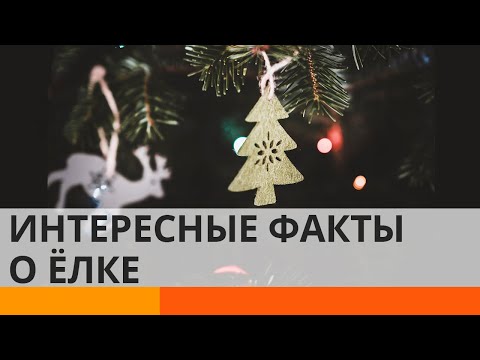 Как появилась традиция наряжать ёлку на Новый год