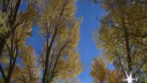 TÂY THIÊN VŨ KHÚC.🌺