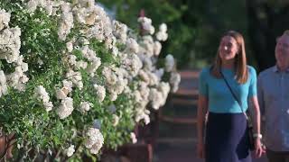 The Stirling Arms Hotel