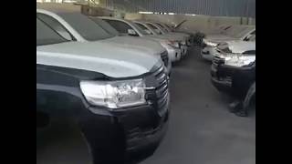 هياكل سيارات جديدة في دبي