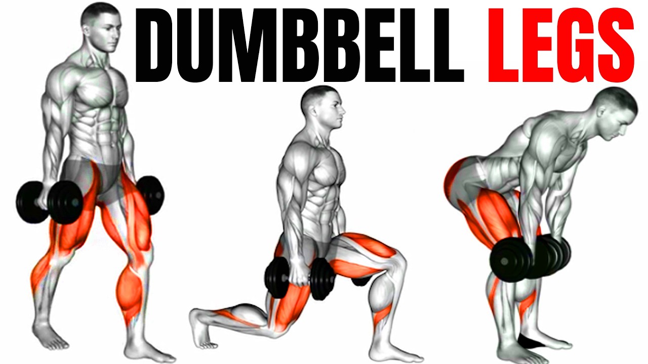 The Perfect 8 Exercises To Build Bigger Legs💪(Dumbbells Only) - YouTube